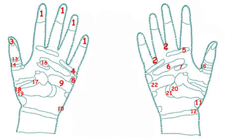 Points d'acupuncture intérieur des mains