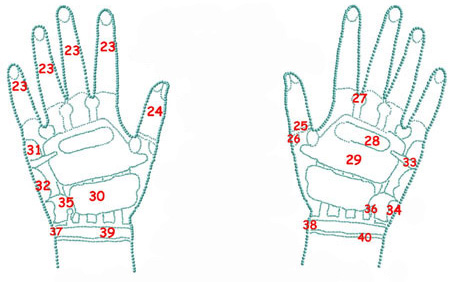 Points d'acupuncture extérieur des mains