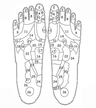 Points d'acupuncture pied